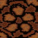 사막의 개화 (Desert Bloom) 地圖預覽