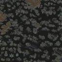 좀비 사태 (Zombie Apocalypse) Preview