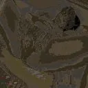 SC Picture Map Scenario Map Preview