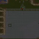 Ant Farm! Preview
